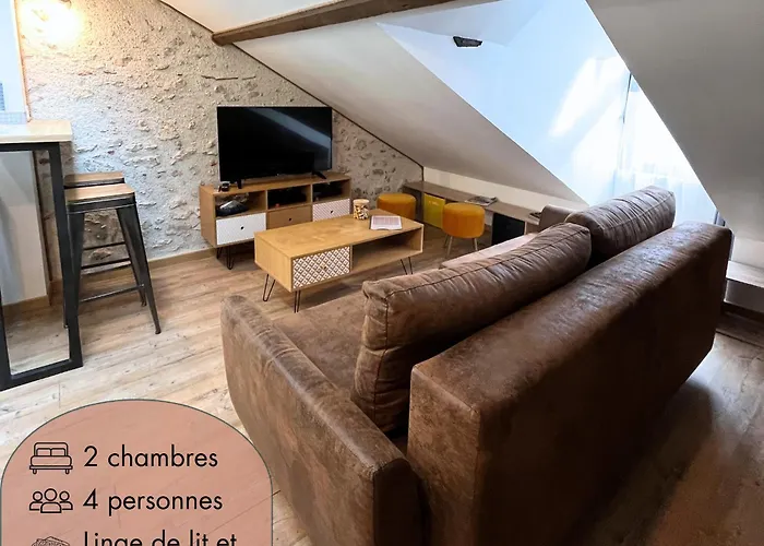 Le Duplex Chartrain - Sejour Au Coeur De Blois